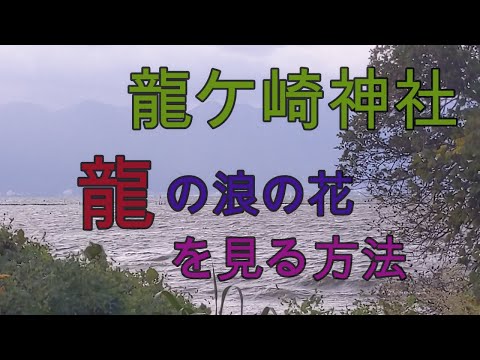 龍ケ崎神社　龍の浪の花を見る方法