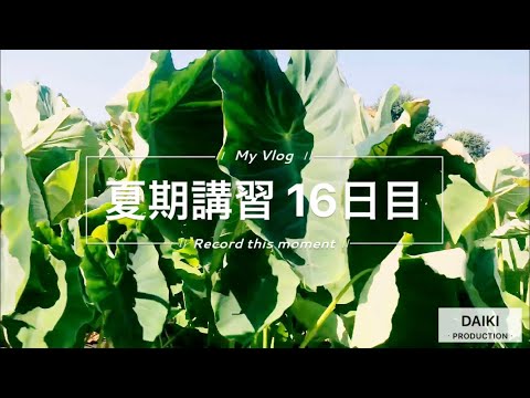 エイメイ学院 夏期講習の1日【16日目】