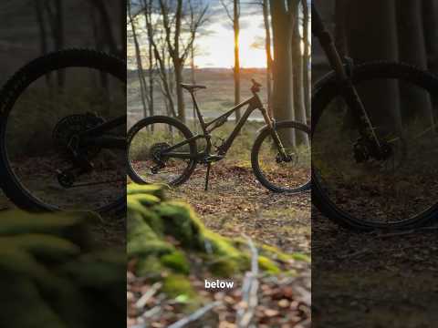 Santa Cruz Tallboy vs Specialized Stumpjumper 15. What’s your choice?