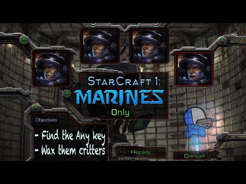 Can You Beat Starcraft With Only Marines?