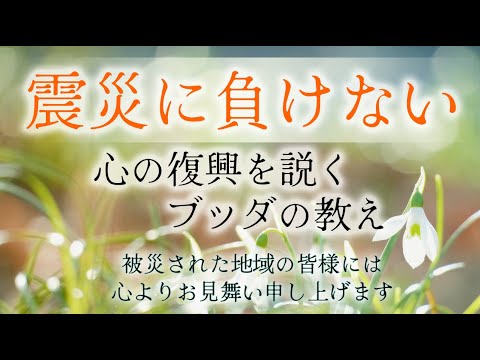 被災者が本当に救われる心の復興【ブッダの教え】