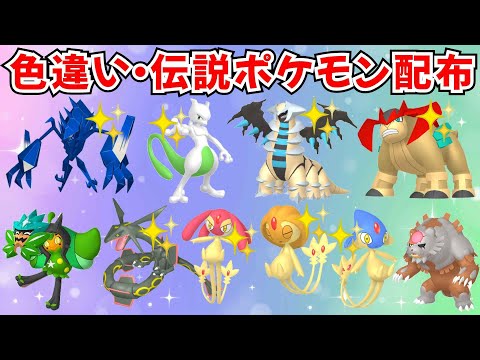 【ポケモンSV】色違いポケモン 伝説ポケモン配布  色ミュウツー 色ネクロズマ 色ギラティナ 色アグノム 色テラキオン 色レックウザなど #ライブ配信 #ポケモンsv #初見歓迎