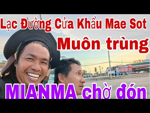 Cưa Khẩu MAE SOT then Cài