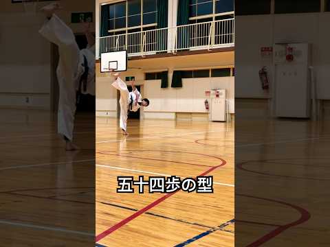 五十四歩の型 #琉球空手 #karate #martialarts #空手 #伝統空手 #空手道 #沖縄空手