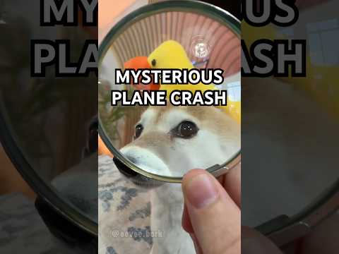 MYSTERIOUS South Korea Airport Crash?! #goofyahh