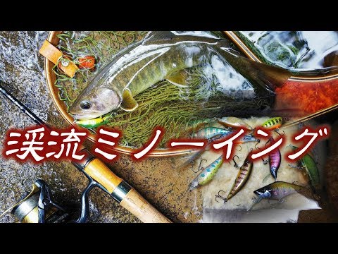 【渓流ルアー釣り】バルサミノーで天然イワナを求めて！手取川水系2019秋