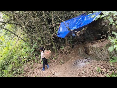 FULL VIDEO:The girl, went to pick fruit to sell, and brought gifts and clothes for, The strange girl