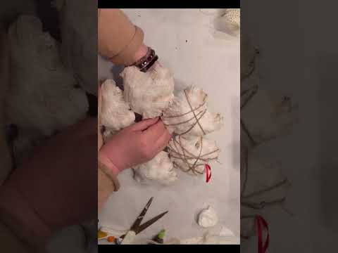 Watch Dollar Tree heart wreath transform into shabby chic beauty #shabbychicdecor #dollartreediy