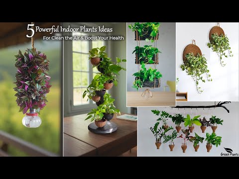 5 Powerful Indoor Plants Ideas That Clean the Air & Boost Your Health-Indoor Gardening//GREEN PLANTS