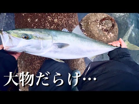 【悲報】ヒラメを釣りたかったのに…