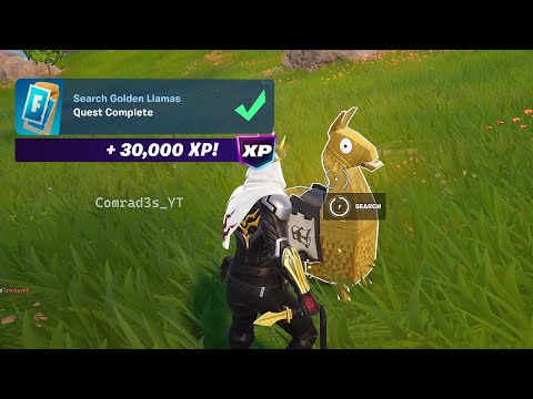 Search Golden Llamas Fortnite