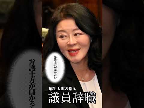 広瀬めぐみ議員辞職の真相