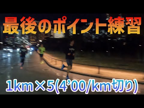 【いよいよ東京マラソン】最後のポイント練習！1000m×5本を設定どおりにクリアできたか！？