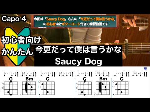 今更だって僕は言うかな/Saucy Dog/ギター/コード/弾き語り/初心者向け/簡単