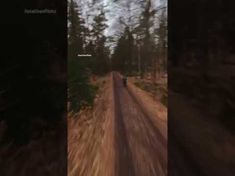 Driving or #riding into the woods #shortvideos