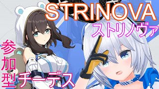 【参加型 チーデス】デイリー消化にいかがですか？【ストリノヴァ -Strinova-】