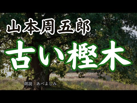 【朗読】山本周五郎「古い樫木」　　朗読・あべよしみ