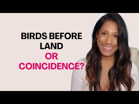 Does Birds Before Land Actually Mean Anything?