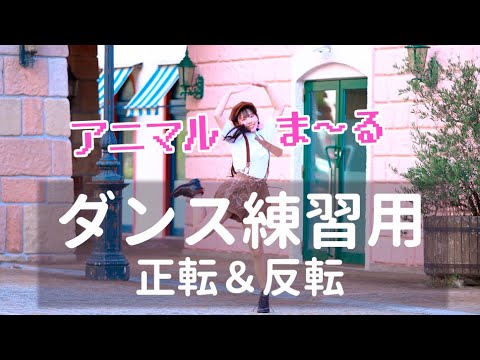 【ダンス練習用】アニマルま～る／名取さな【正転＆反転】