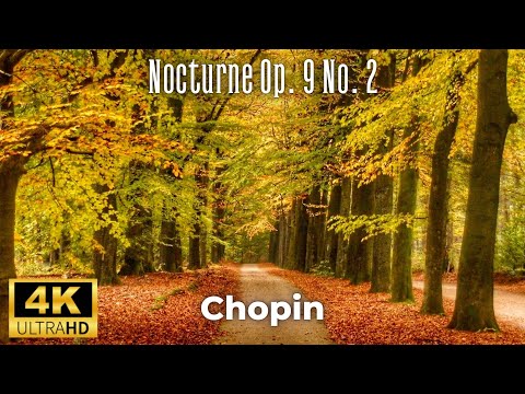 Chopin - Nocturne Op. 9 No. 2 (4K)