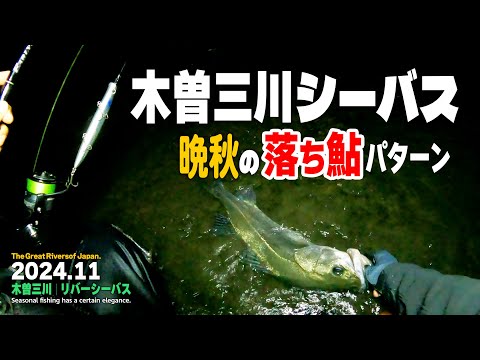 木曽三川で落ち鮎パターンに挑む!!／晩秋のリバーシーバスを攻略する！