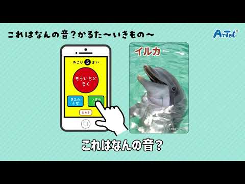 021167これはなんの音かるた いきもの