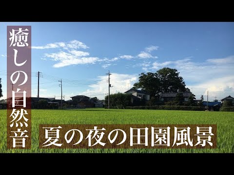 田舎の田園風景とセミの声、踏切音 【作業用BGM】