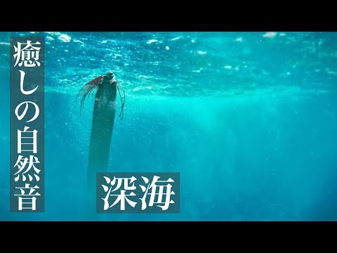 【癒しの自然音】眠りを誘う深海の水音　イヤホン推奨（睡眠用BGM・勉強用・作業用BGM・ASMRサウンド）Japanese healing sound "Deep ocean"