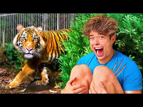 LOCKED IN A TIGER CAGE FOR 24 HOURS!!