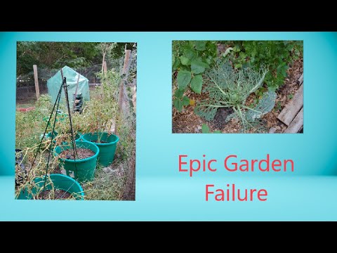 July 2023 Garden Tour & Update