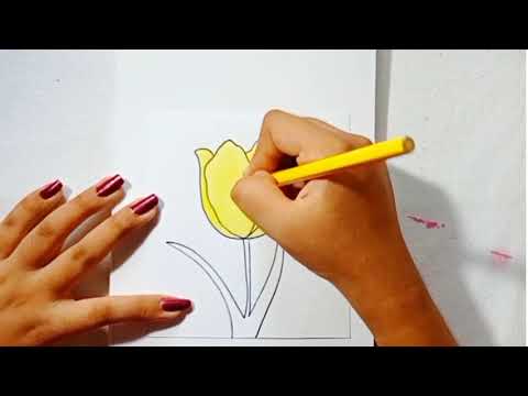 Pencil color drawing tutorial..