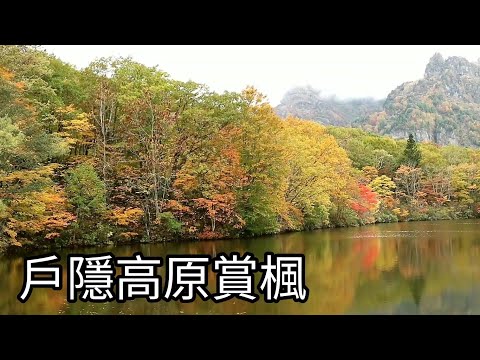 能量景點：戶隱高原（忍者的故里）賞楓