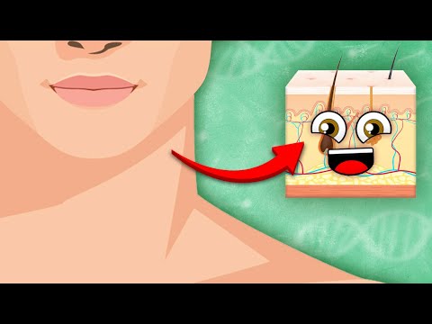 Your Skin Is The LARGEST Organ In Your Body! | Human Skin Song | KLT Anatomy