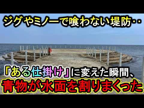 堤防から効果抜群‥ジグやミノーで喰わない青物がこの仕掛けに変えた瞬間、水面爆発しまくった【2024新潟遠征】