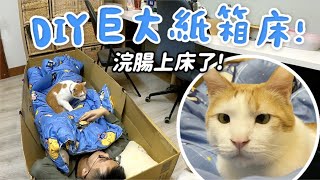 【黃阿瑪的後宮生活】DIY巨大紙箱床！浣腸上床了！