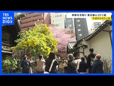 いちご狩り日和・釣り日和…「めっちゃ暑くて想定外」各地で気温上昇　“季節先取り”の暖かさは14日（金）まで　週末は全国的に雨か【news23】｜TBS NEWS DIG