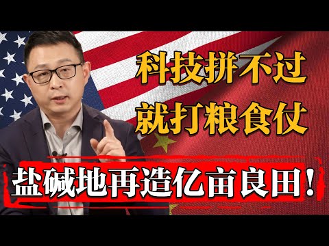 科技拼不過，就打糧食仗！中國啓動“鹽堿地再造億畝良田”計劃！爲了打贏美國拼了！#历史 #文化 #聊天 #纪实 #窦文涛 #马未都 #马家辉 #周轶君 #熱門 #推薦 #香港