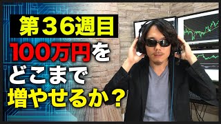 【100万円チャレンジ36週目】今年前半の爆益は何だったのか？果たして今週は復活なるか・・・