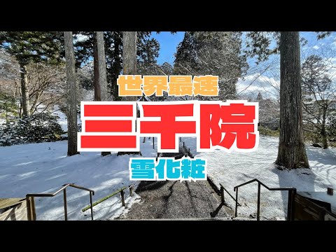 [ Feb 24] Enjoying the snowy scenery of Sanzen-in, Kyoto!