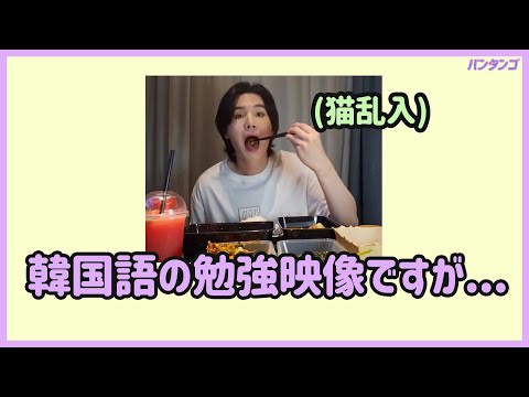 [BTS 日本語字幕] ユンギと一緒なら韓国語の勉強も心配ない