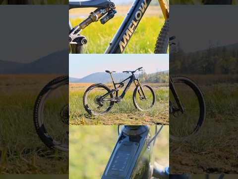 The AMFlow PL Carbon! The first video to drop in our eMTB Lite group review! #ebike #emtb #mtb