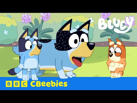 Bluey plays Sheepdog with Bingo and Dad | CBeebies