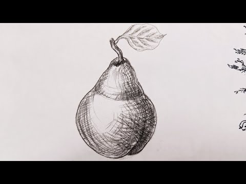 How to draw Pear step by step || #sketching #pear #howtodraw #stepbystep #sketch  #pencildrawing