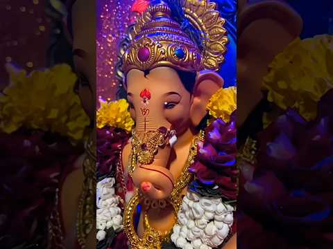 Ganesh chaturthi 😍❤️🙏🥀#ganpatibappamorya #ganeshachaturthi #ganeshaji #ganpatibappamorya #shiv