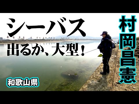 和歌山県でランカーシーバスを追う 2/2 『Seabass Journey 47 村岡昌憲×和歌山県』【釣りビジョン】