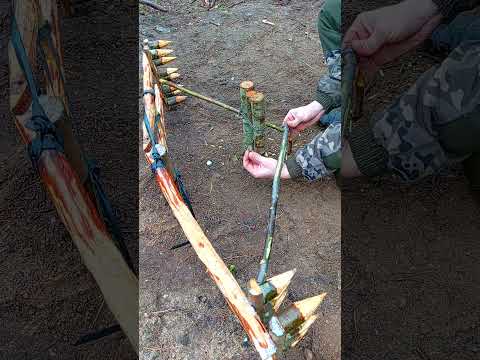 how to make a bird trap  #trap #survival #trapping