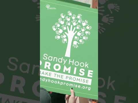 From Tragedy to Transformation: The History of Sandy Hook Promise #protectourkids #endgunviolence