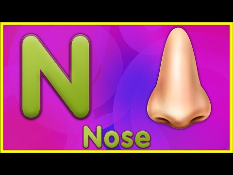 Letter N | Nose, Nest, Nuts, Newt - Learn Letter N