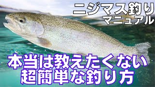 ニジマスが釣りたい方へ！初心者が超簡単に釣る方法！