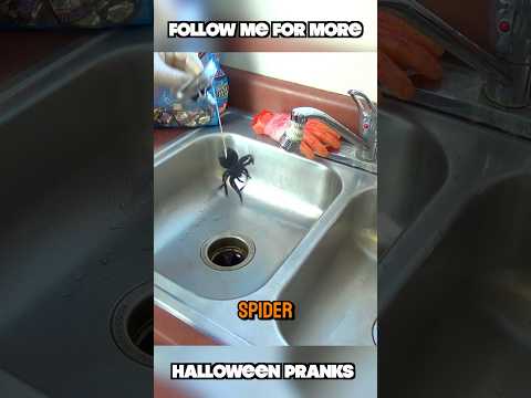 Creepy spider prank #halloween #prank #halloweenideas